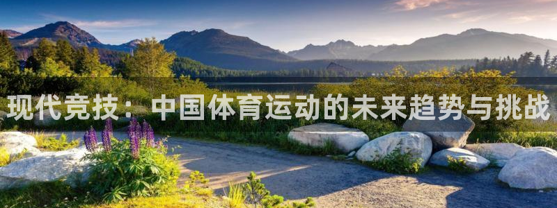 3377体育官方正版app集团E.ON：现代竞技：中