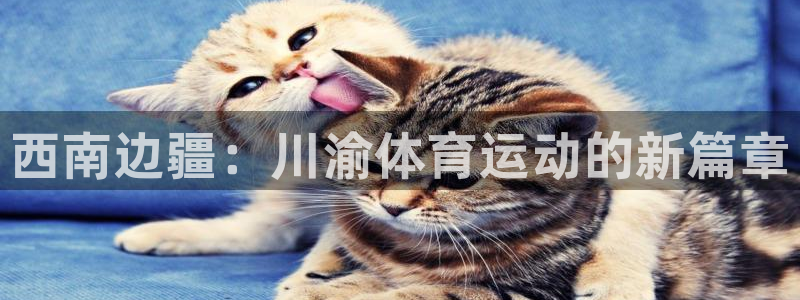 3377体育官网下载平台注册：西南边疆：川渝体育运动的新篇章