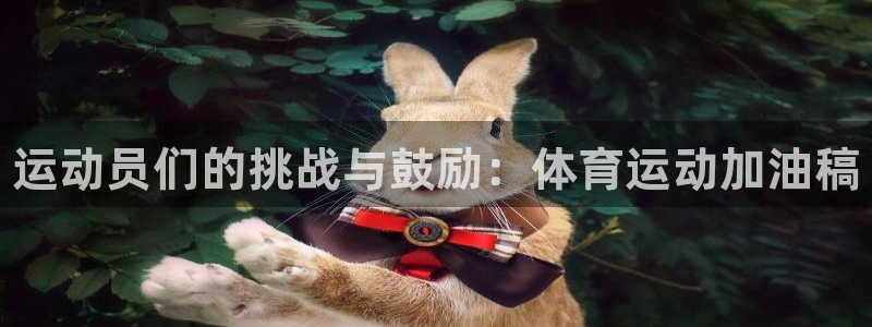 3377体育官网下载联系电话：运动员们的挑战与鼓励：