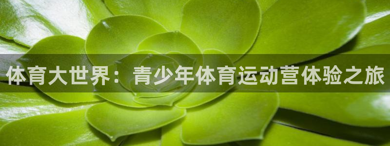 3377体育官方正版app新能源：体育大世界：青少年体育运动