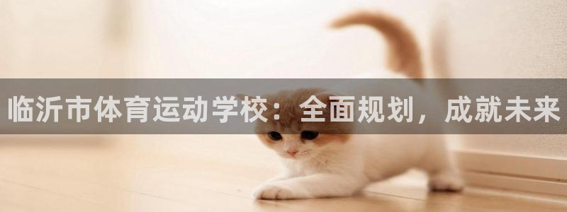3377体育官方正版app科技：临沂市体育运动学校：全面规划