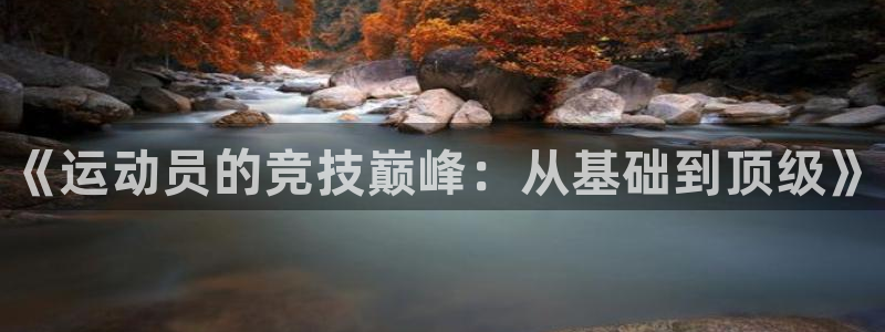 3377体育官方正版app集团