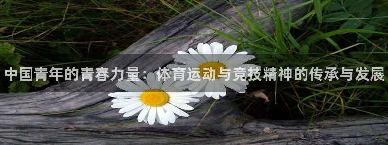 海南3377体育官网下载发展怎么样：中国青年的青春力量：体育