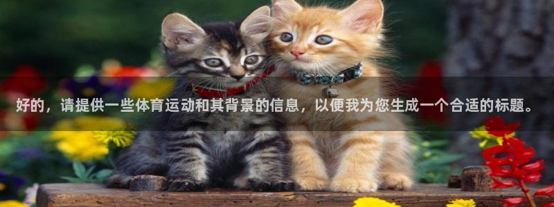 3377体育官方正版app神州：好的，请提供一些体育运动和其