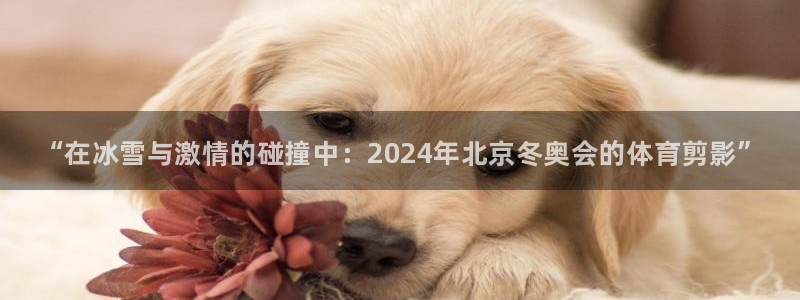 3377体育官网下载联系电话：“在冰雪与激情的碰撞中