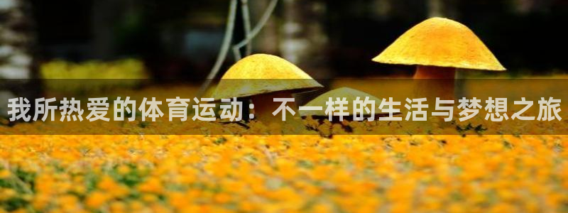 3377体育官网下载平台是正规平台吗安全吗：我所热爱