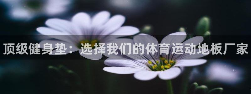 3377体育官网下载招商