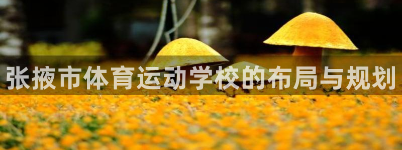 3377体育官网下载平台是正规平台吗知乎：张掖市体育运动学校