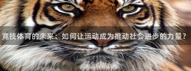 3377体育官方正版app神州