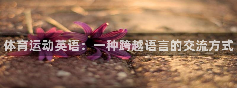 3377体育官方正版app神州：体育运动英语：一种跨越语言的