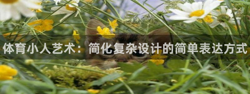 3377体育官方正版app神州：体育小人艺术：简化复杂设计的