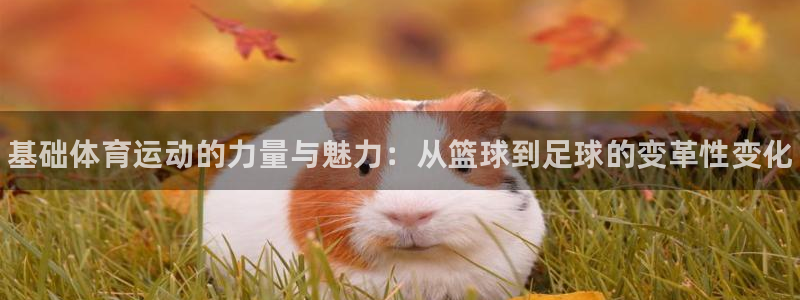 3377体育官方正版app娱乐40996：基础体育运
