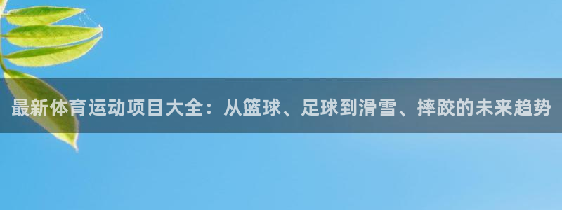 3377体育官方集团官网：最新体育运动项目大全：从篮