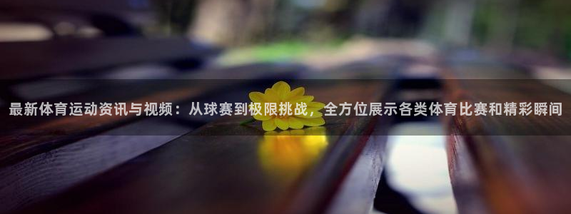 3377体育官方正版app集团官网首页：最新体育运动