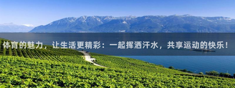 3377体育官网下载平台注册流程图：体育的魅力，让生