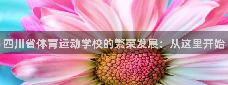 3377体育官方正版app科技