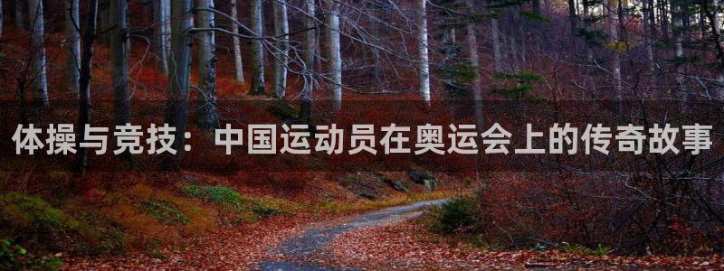 3377体育官方正版app集团简介