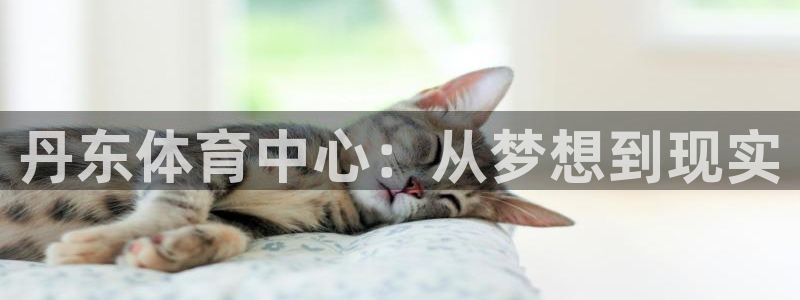 3377体育官方正版app开户：丹东体育中心：从梦想到现实