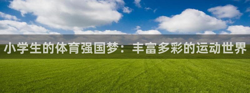 3377体育官方正版app娱乐首页网站大全