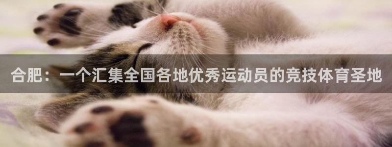 3377体育官网下载平台假的吗是真的吗吗