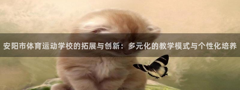 3377体育官网下载是干嘛的公司:安阳市体育运动学校的拓展与