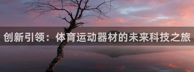 3377体育官网下载平台是正规平台吗：创新引领：体育