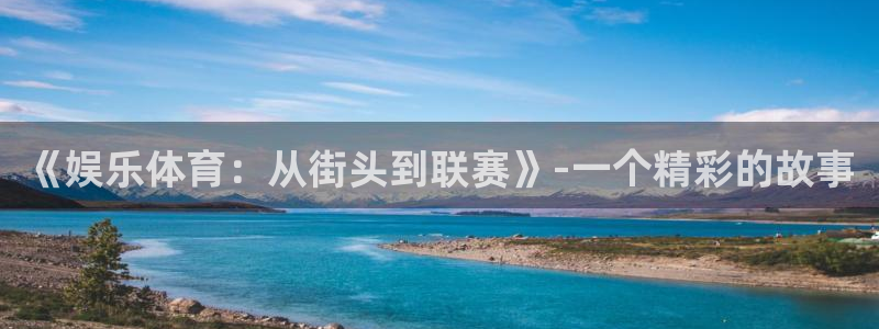 3377体育官网下载平台注册要钱吗：《娱乐体育：从街头到联赛