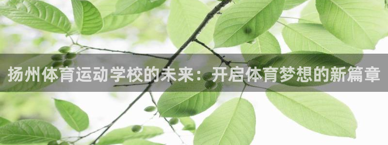 3377体育app属不属于病毒应用