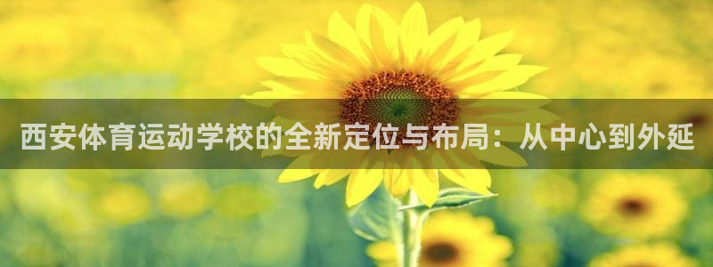 3377体育app官网下载最新版本2023年