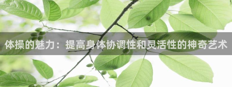 3377体育提款失败的原因分析