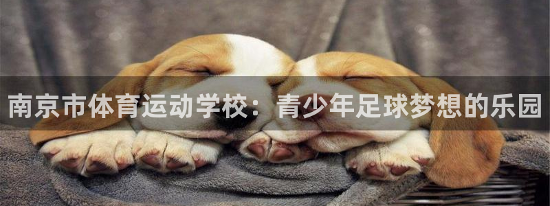  3377体育犯法吗：南京市体育运动学校：青少年足球梦想的乐园