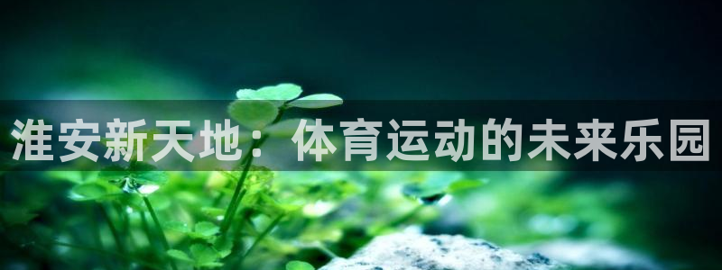 3377体育